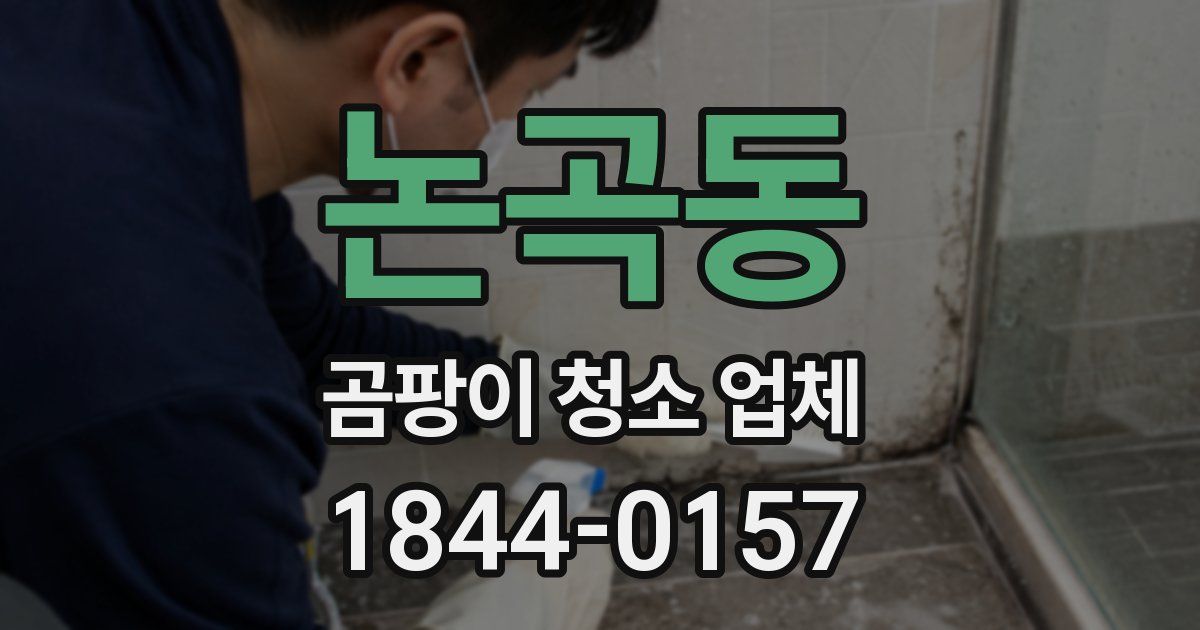 논곡동 곰팡이 청소 업체