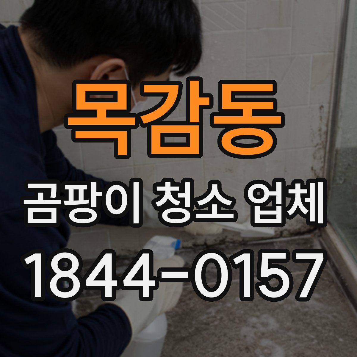 목감동 곰팡이 청소 업체