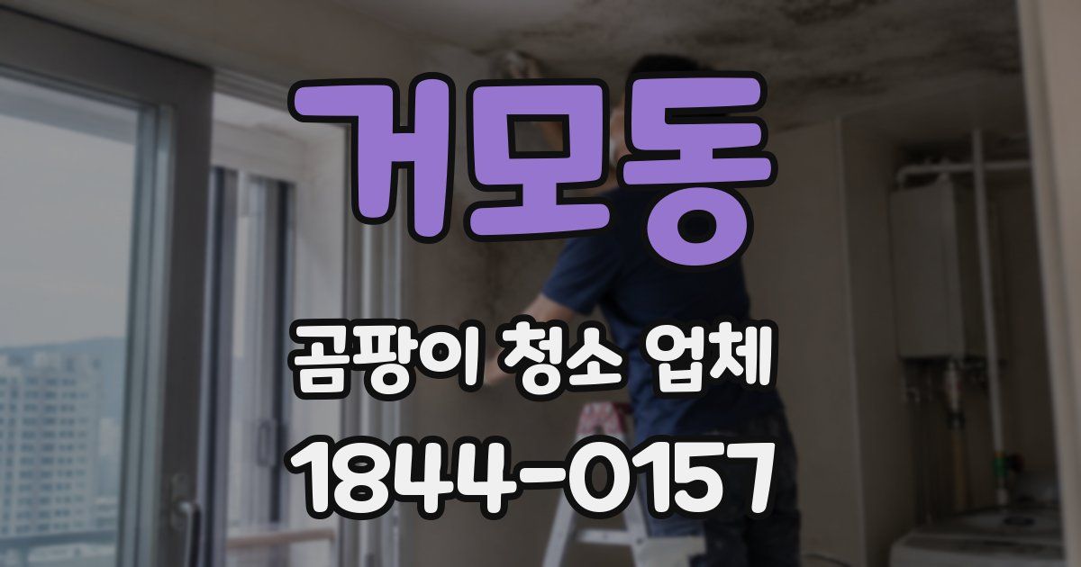 거모동 곰팡이 청소 업체