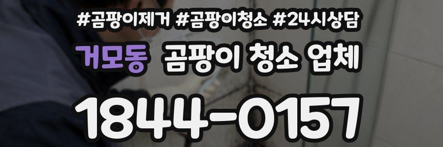 거모동 곰팡이 청소 업체