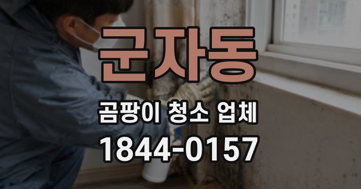 군자동 곰팡이 청소 업체
