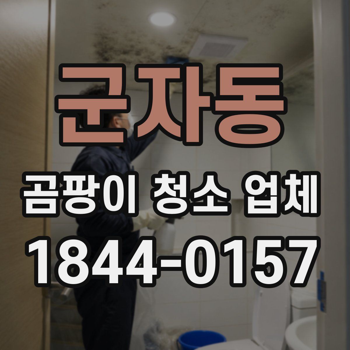 군자동 곰팡이 청소 업체