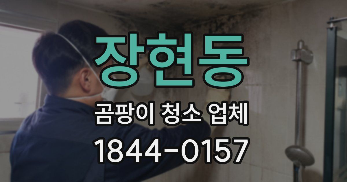 장현동 곰팡이 청소 업체