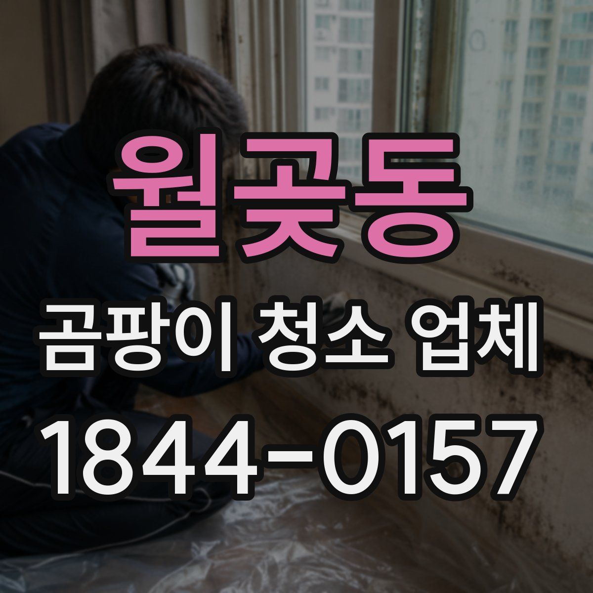 월곶동 곰팡이 청소 업체