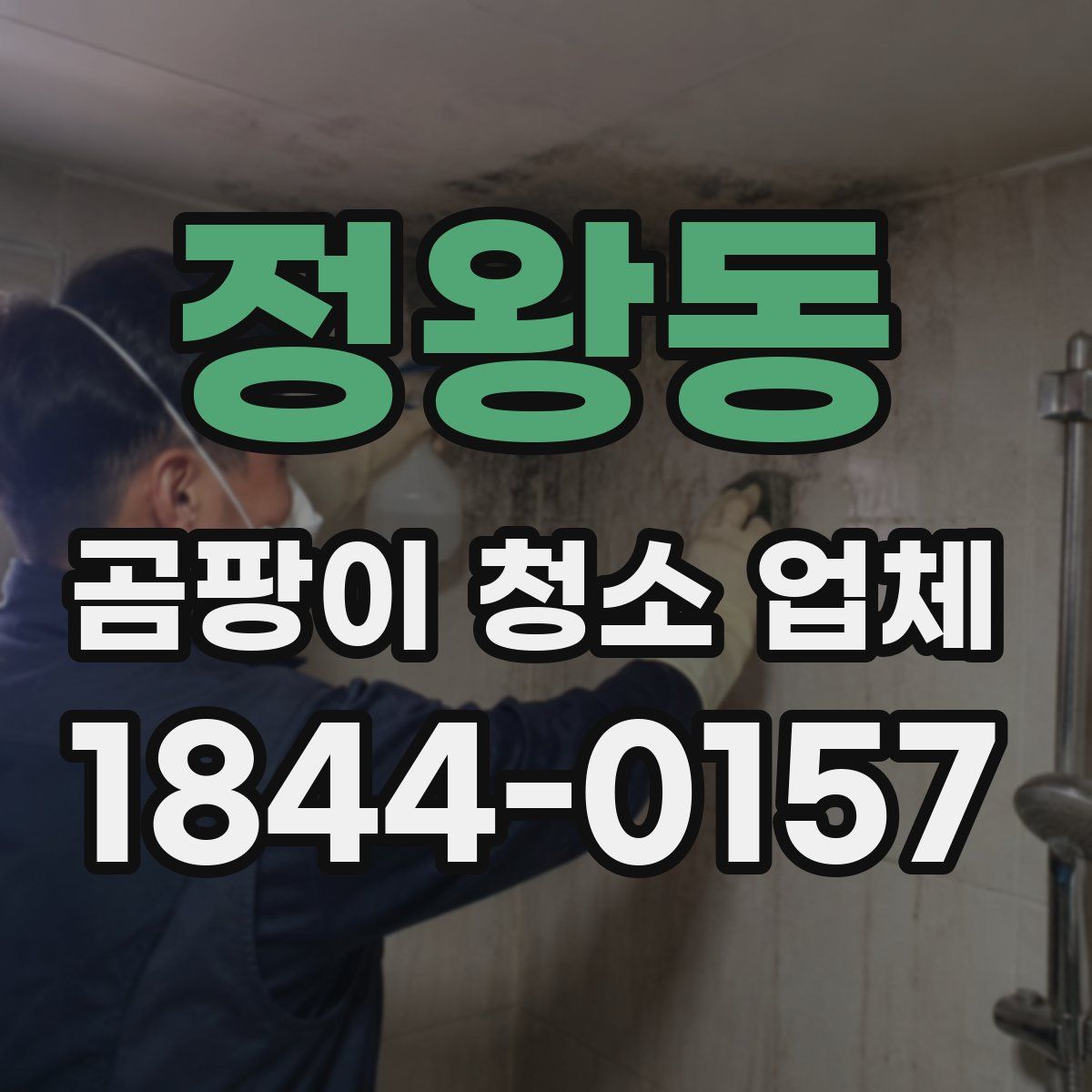 정왕동 곰팡이 청소 업체