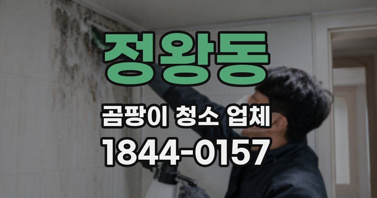 정왕동 곰팡이 청소 업체