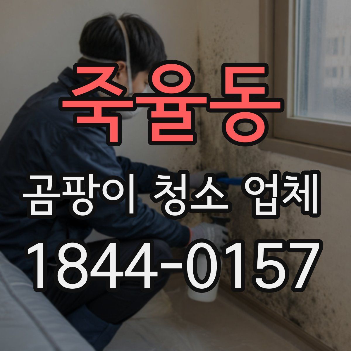 죽율동 곰팡이 청소 업체