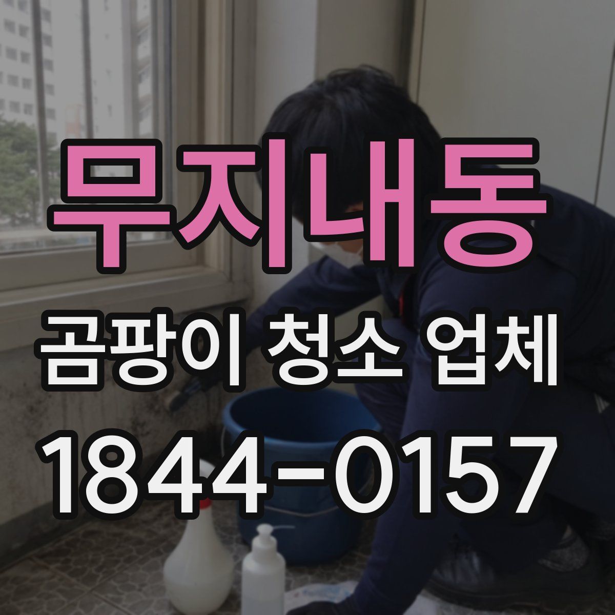 무지내동 곰팡이 청소 업체