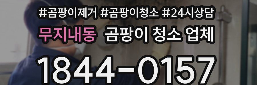 무지내동 곰팡이 청소 업체