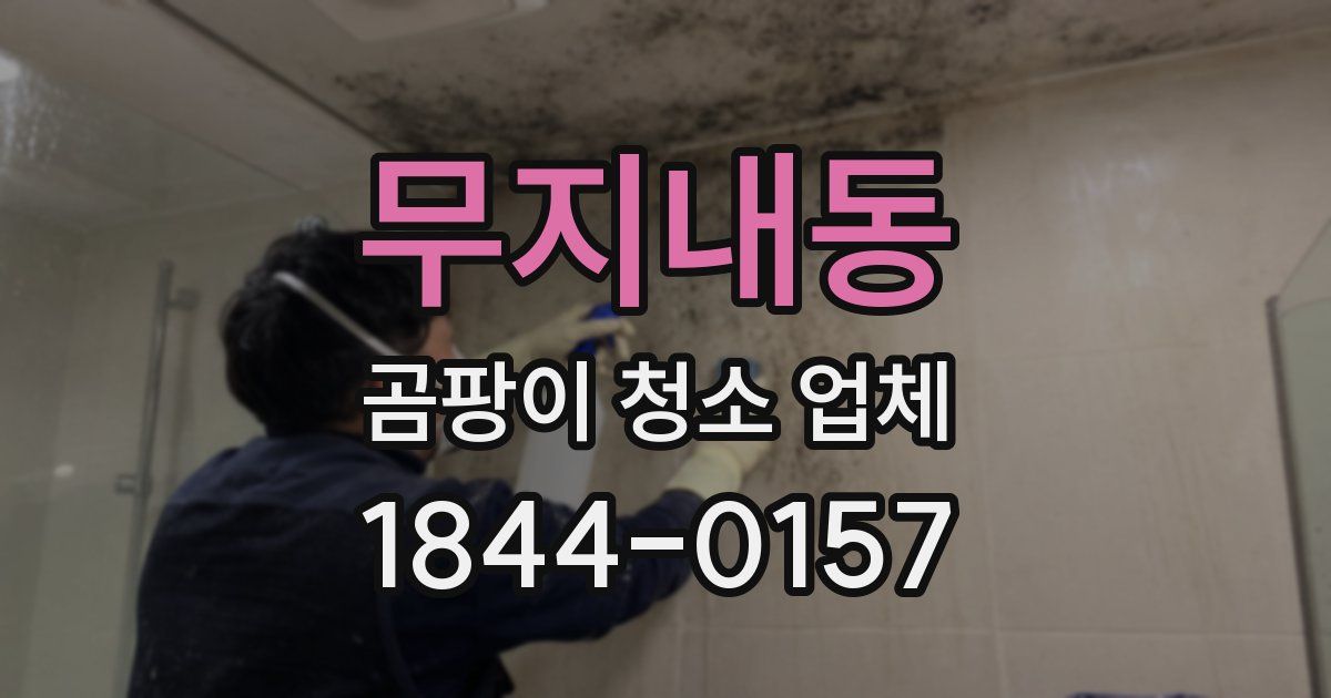무지내동 곰팡이 청소 업체