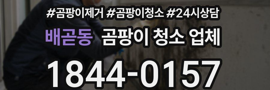 배곧동 곰팡이 청소 업체