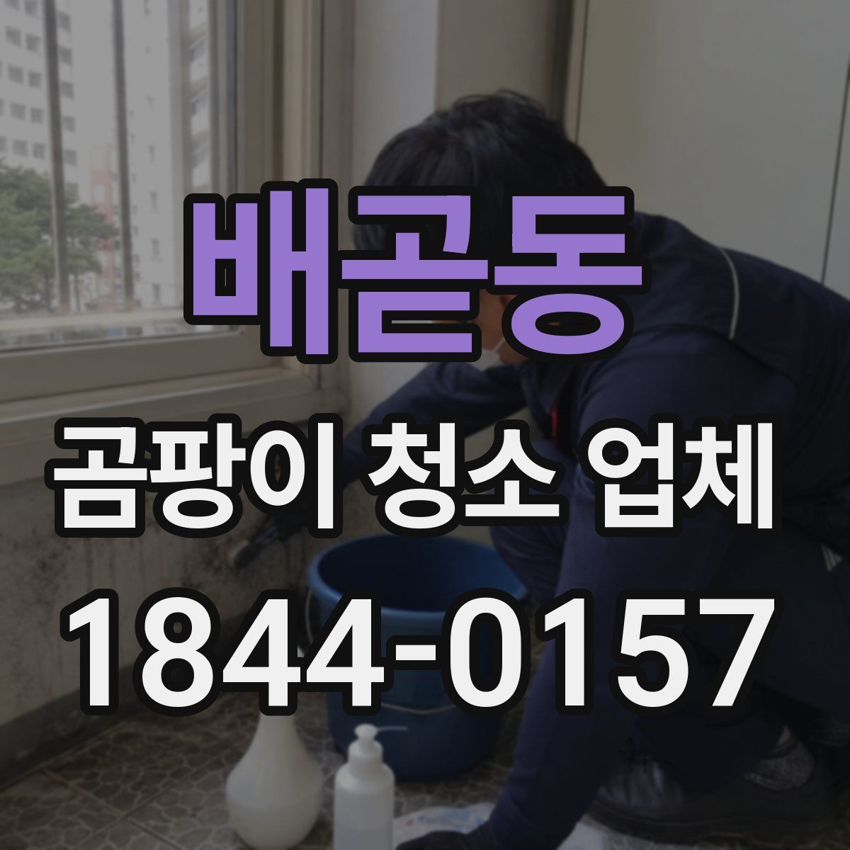 배곧동 곰팡이 청소 업체