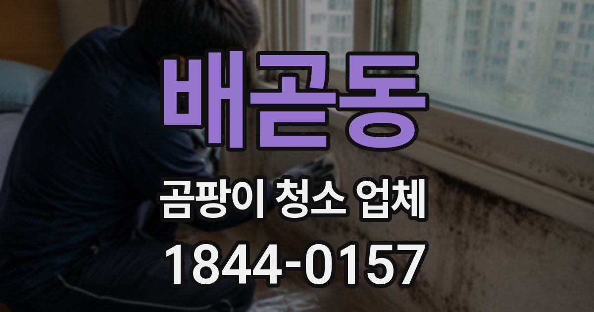 배곧동 곰팡이 청소 업체