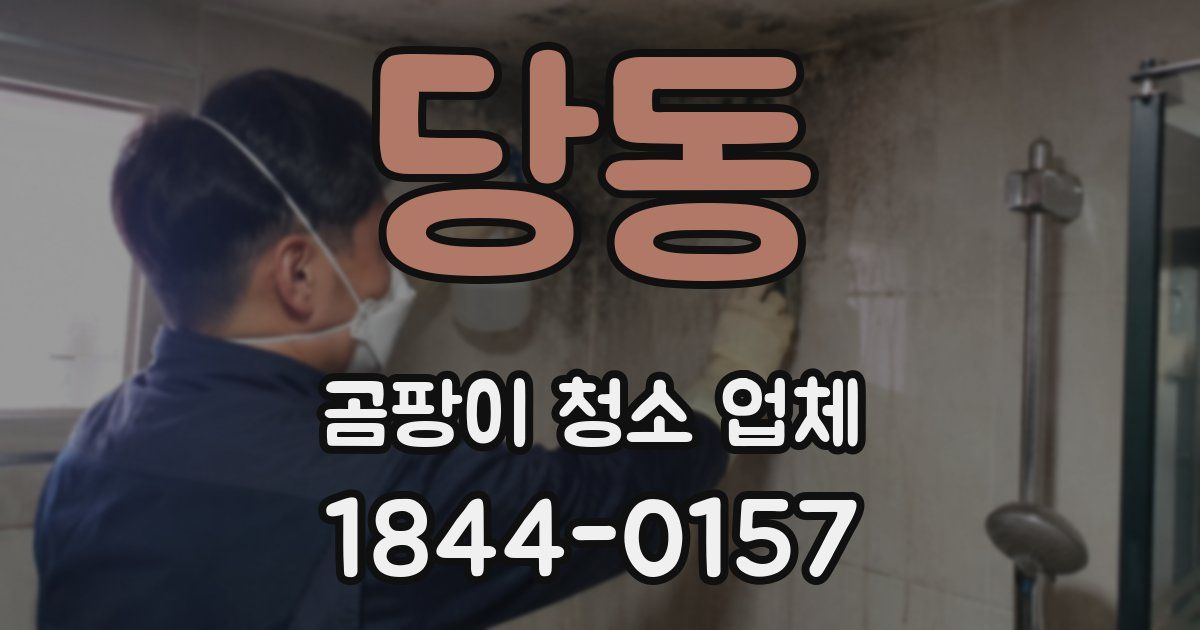 당동 곰팡이 청소 업체
