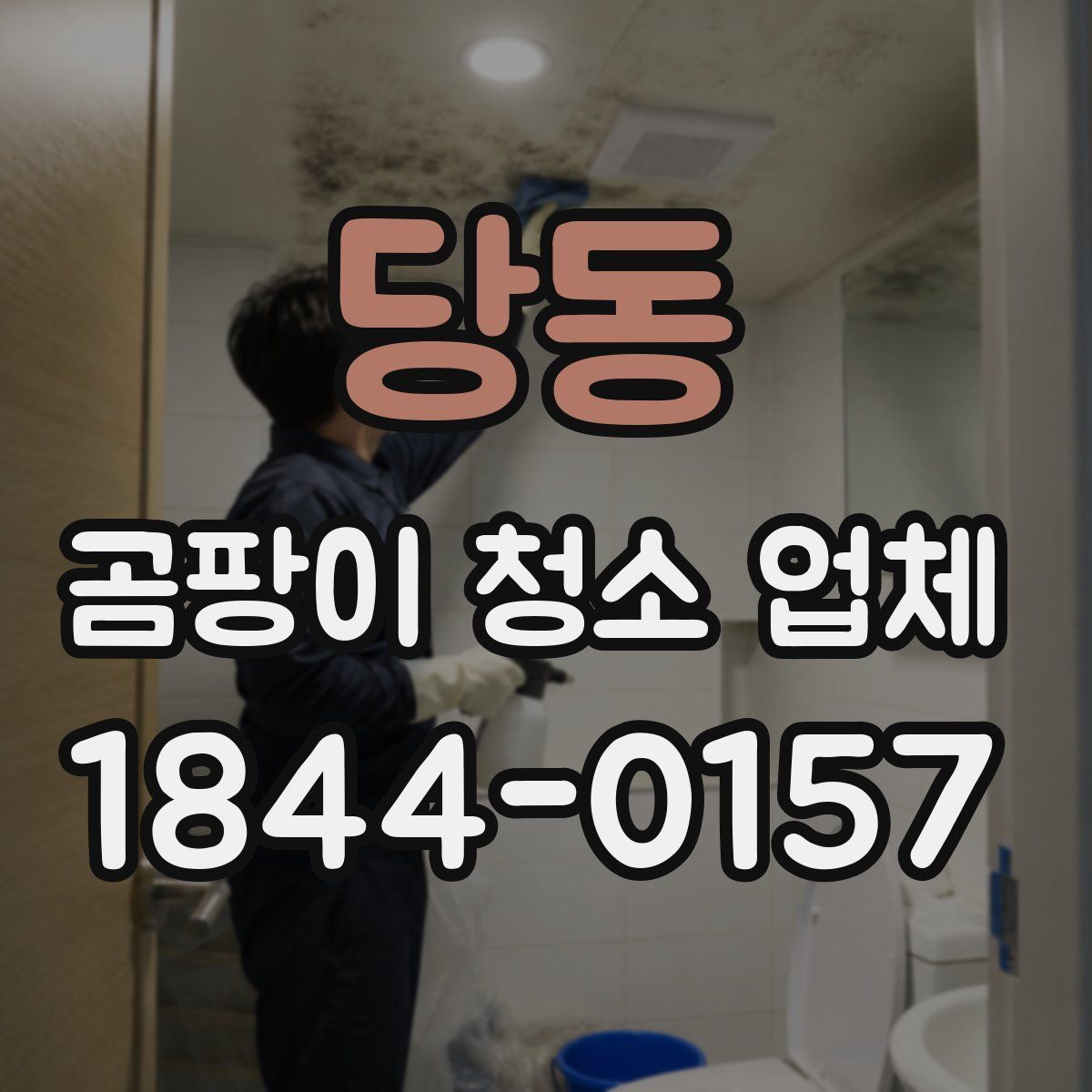 당동 곰팡이 청소 업체