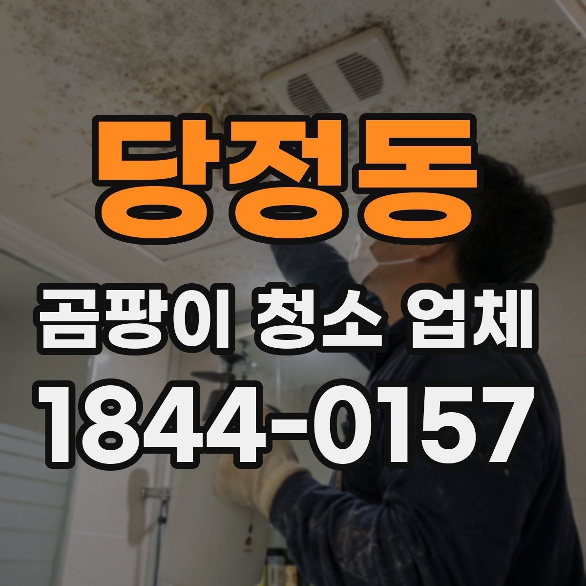 당정동 곰팡이 청소 업체 단순 제거와 원상복구 차이 이해하기