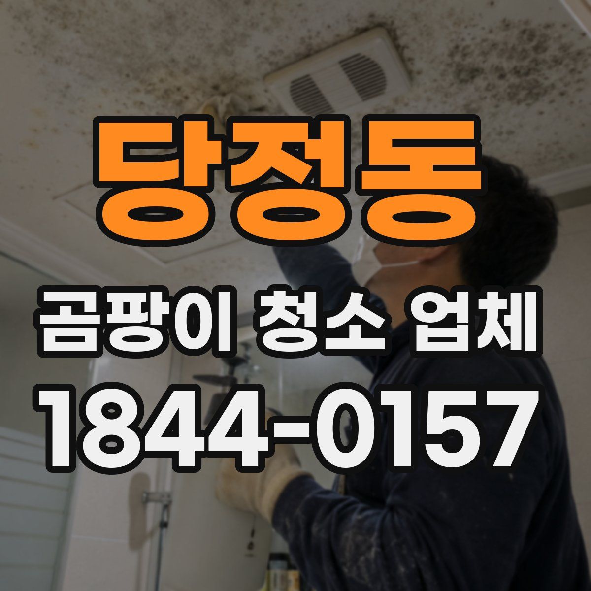 당정동 곰팡이 청소 업체