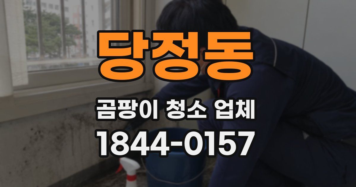 당정동 곰팡이 청소 업체