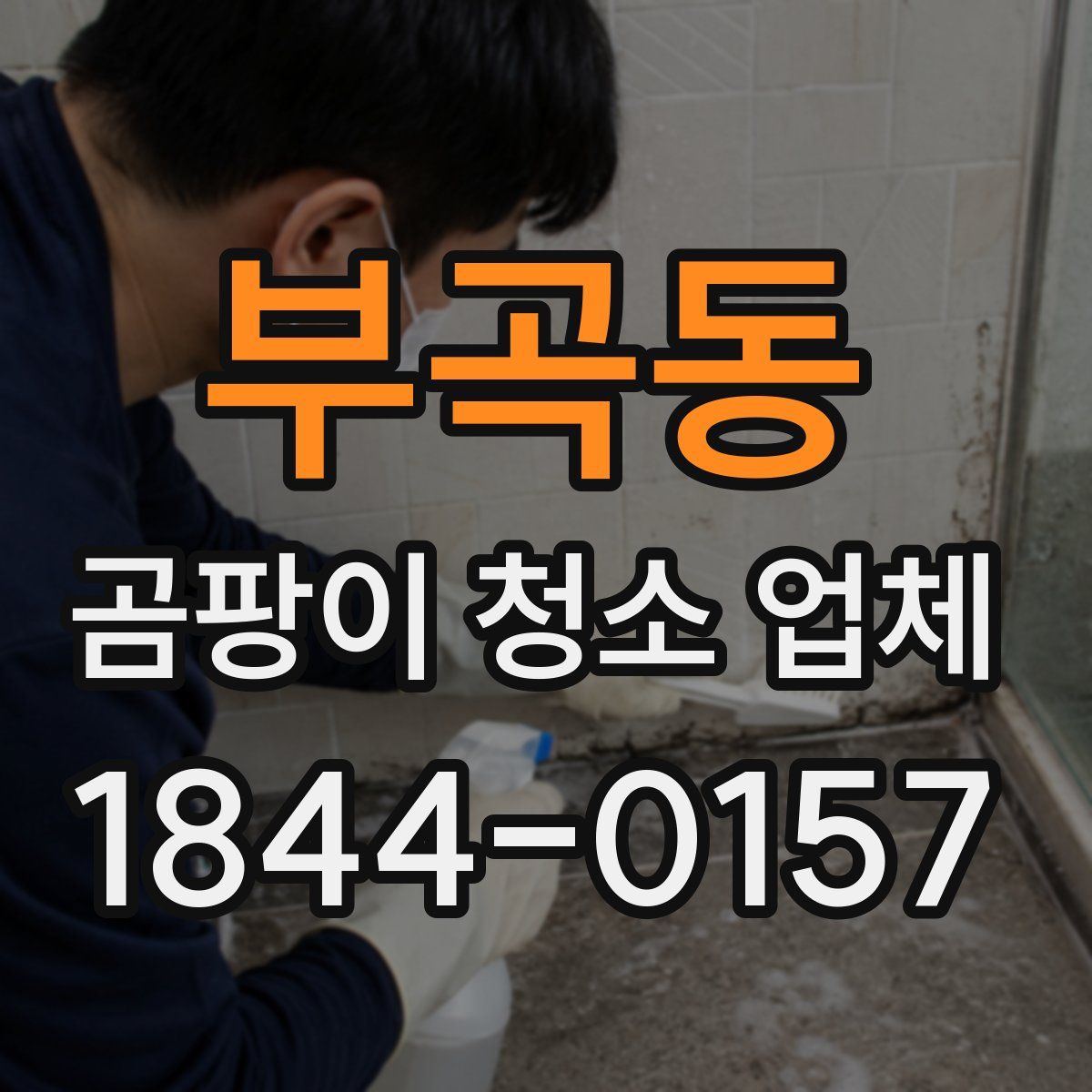 부곡동 곰팡이 청소 업체