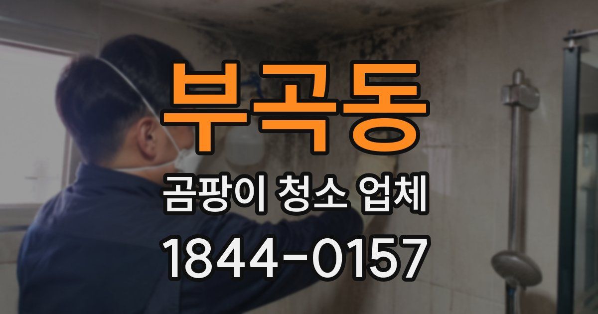 부곡동 곰팡이 청소 업체