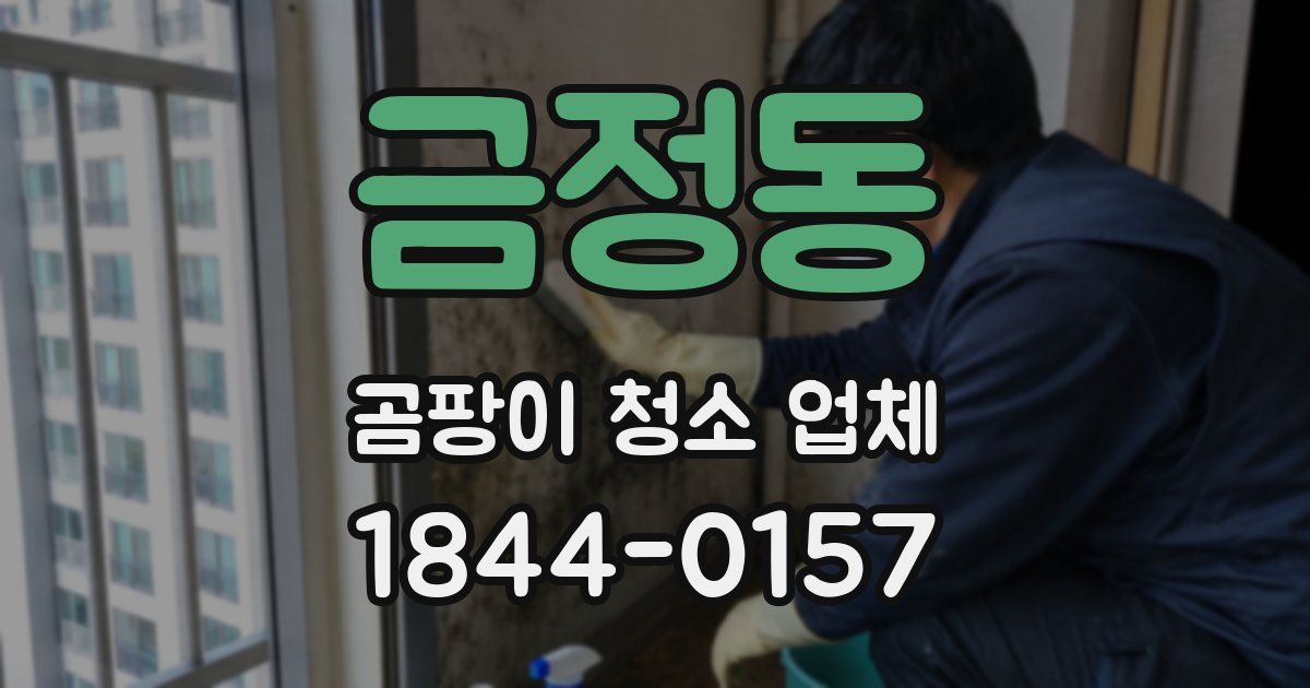 금정동 곰팡이 청소 업체