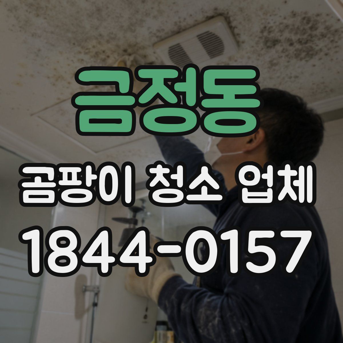 금정동 곰팡이 청소 업체