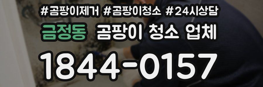 금정동 곰팡이 청소 업체