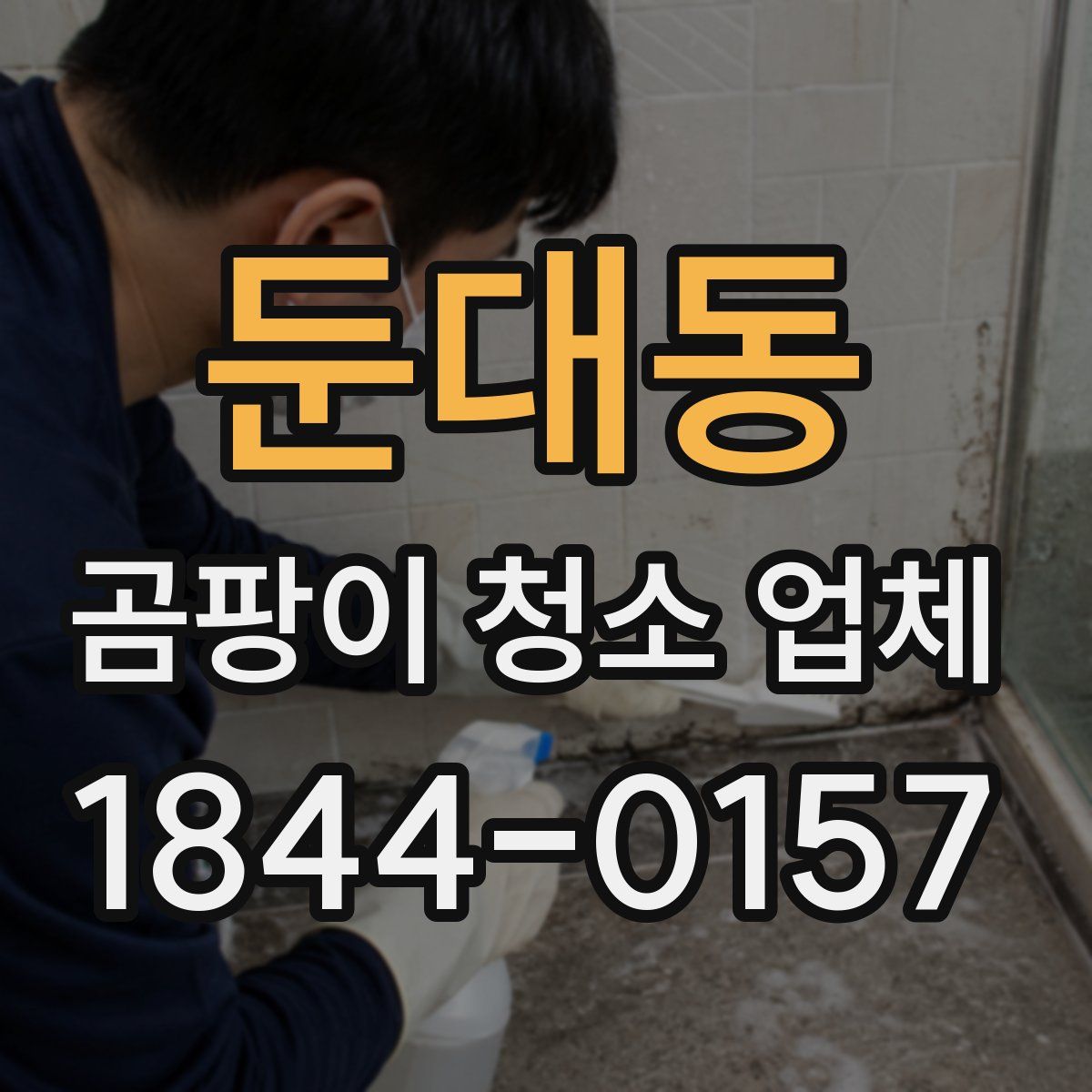 둔대동 곰팡이 청소 업체