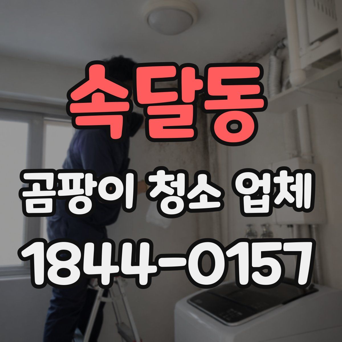 속달동 곰팡이 청소 업체