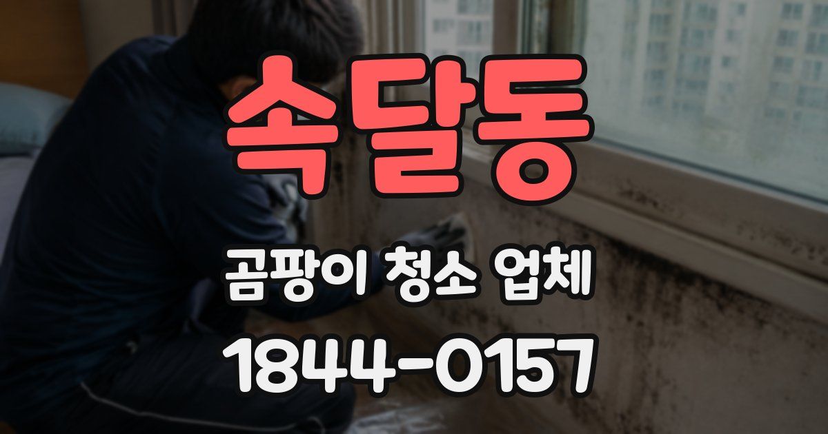 속달동 곰팡이 청소 업체