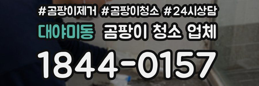 대야미동 곰팡이 청소 업체