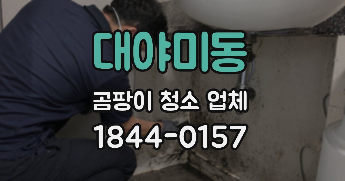 대야미동 곰팡이 청소 업체
