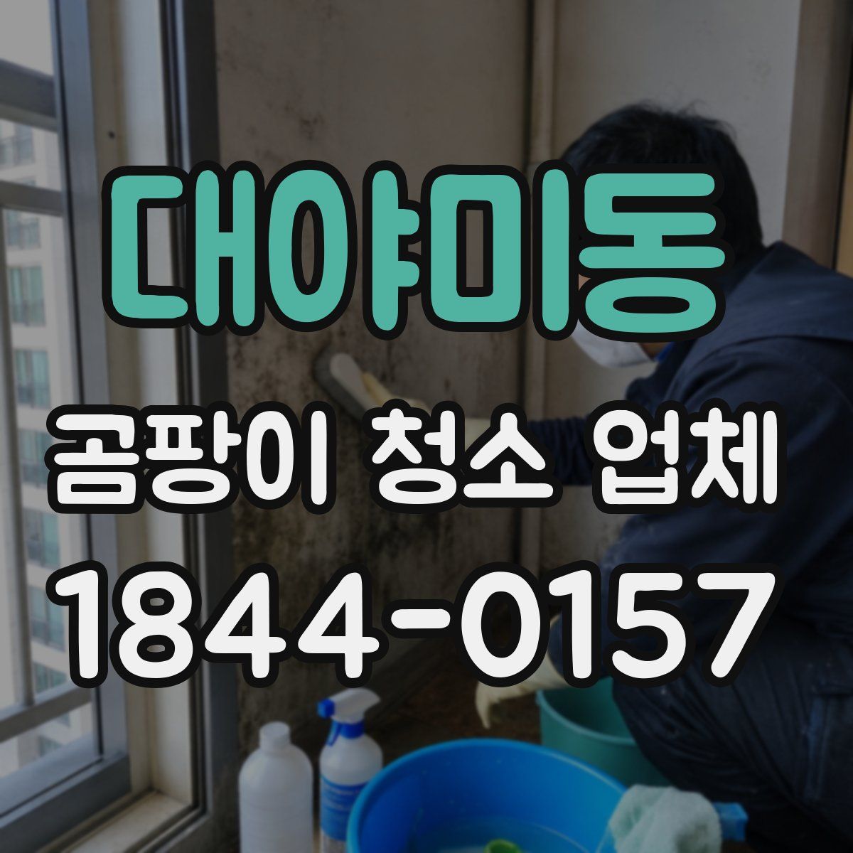 대야미동 곰팡이 청소 업체