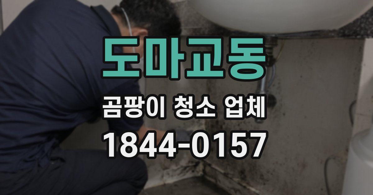 도마교동 곰팡이 청소 업체