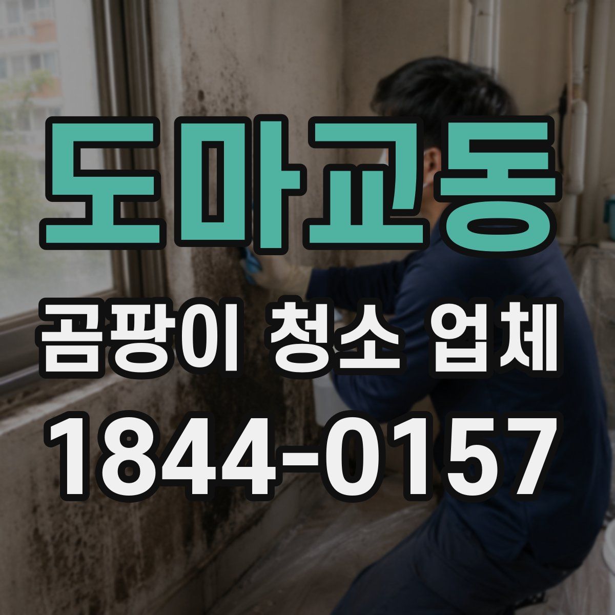 도마교동 곰팡이 청소 업체