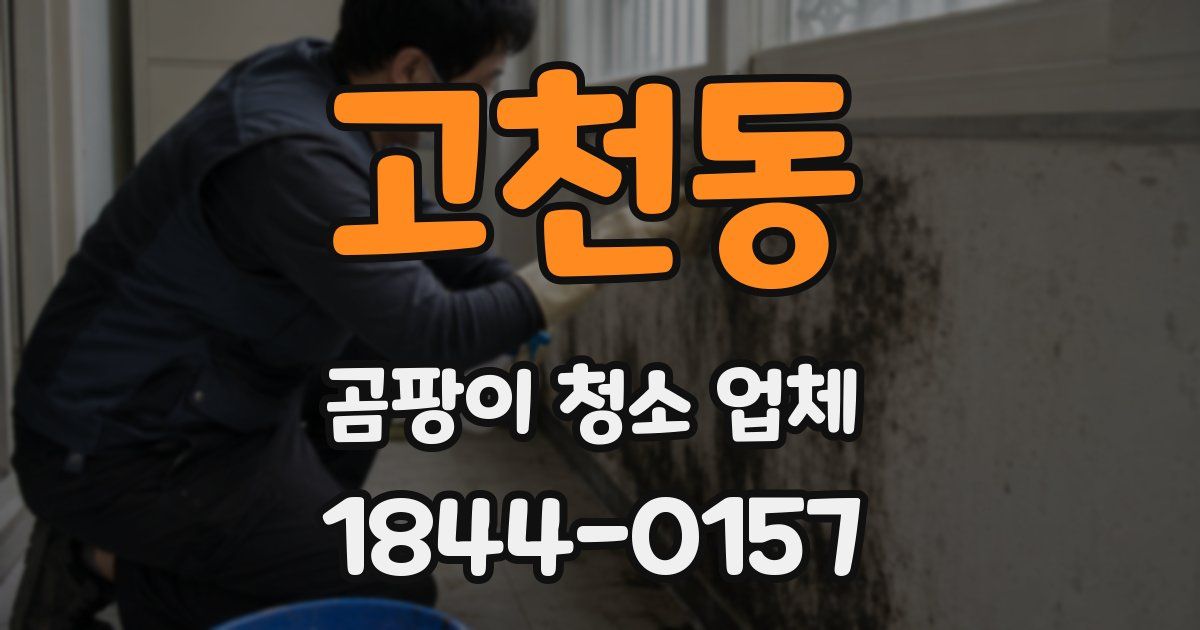 고천동 곰팡이 청소 업체