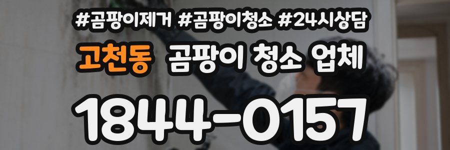 고천동 곰팡이 청소 업체
