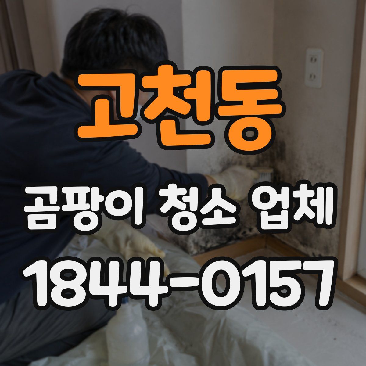 고천동 곰팡이 청소 업체
