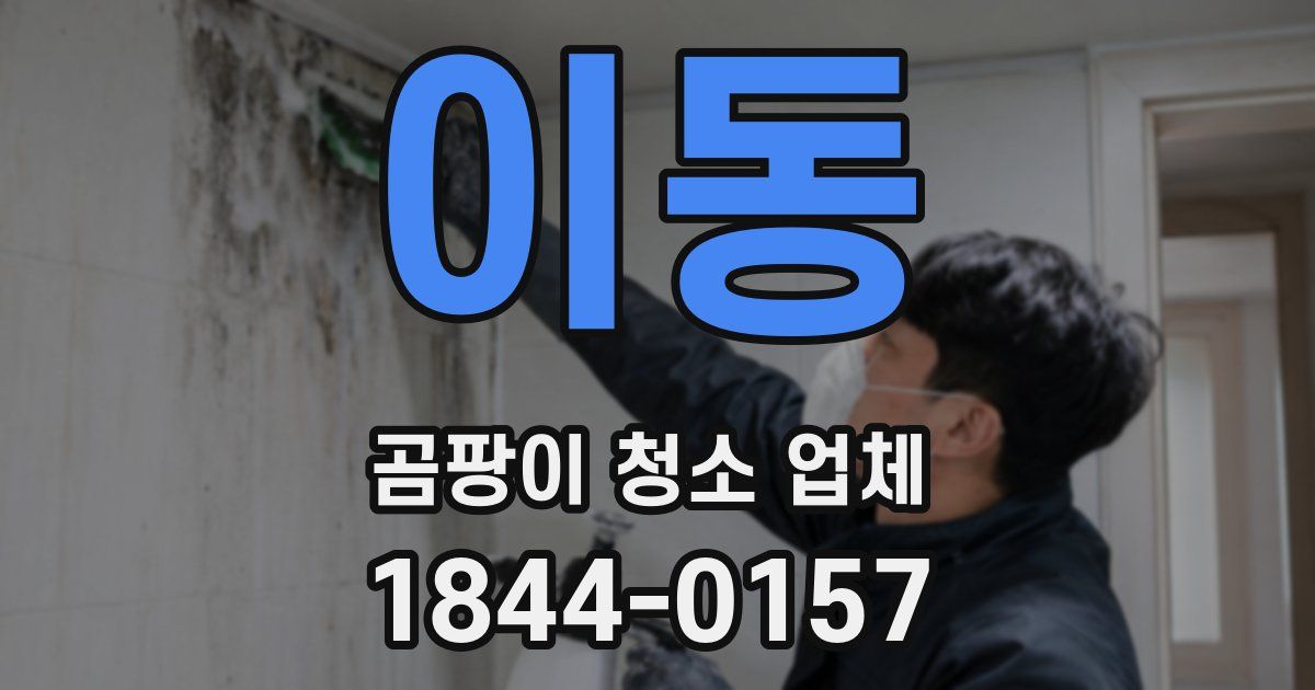 이동 곰팡이 청소 업체