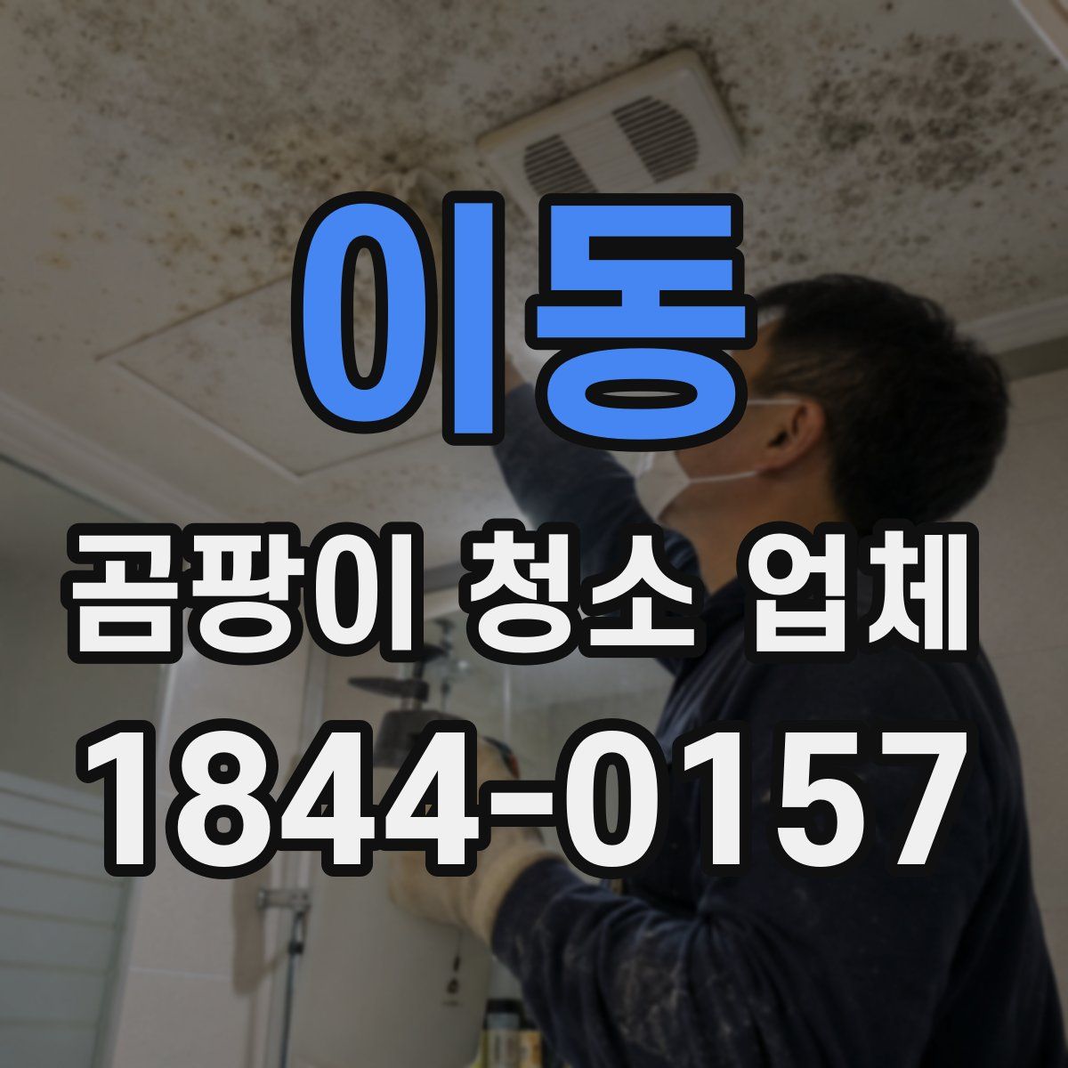 이동 곰팡이 청소 업체