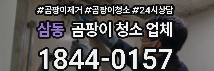 삼동 곰팡이 청소 업체