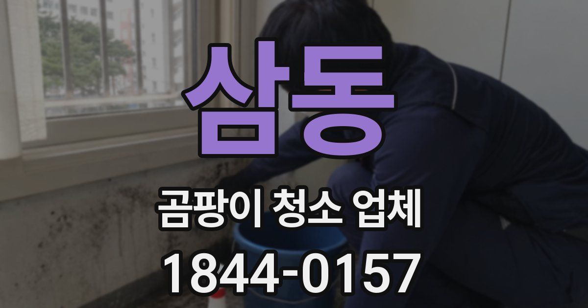 삼동 곰팡이 청소 업체