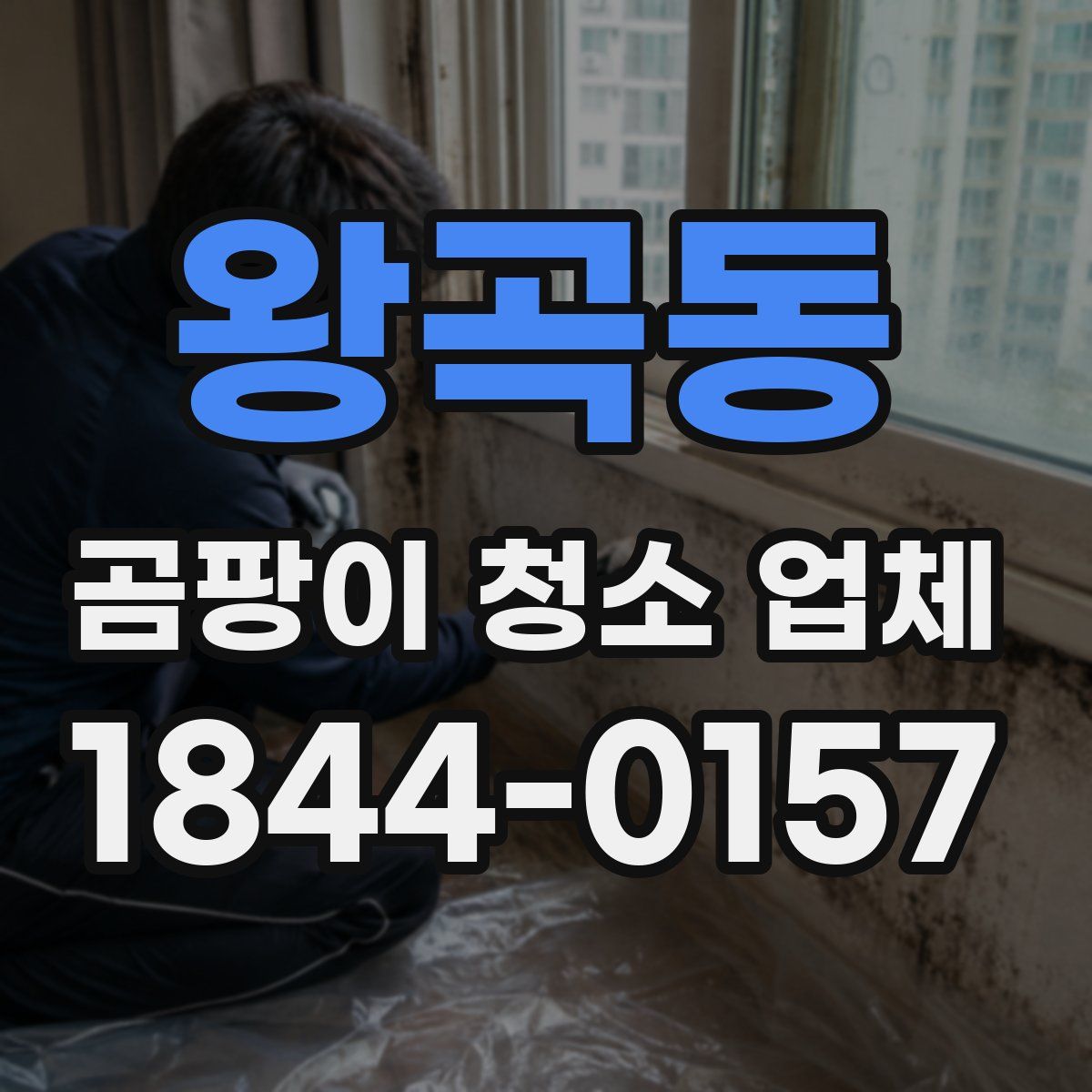 왕곡동 곰팡이 청소 업체