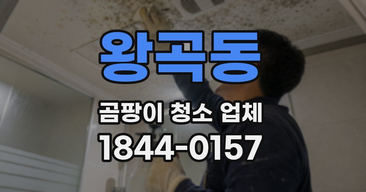 왕곡동 곰팡이 청소 업체