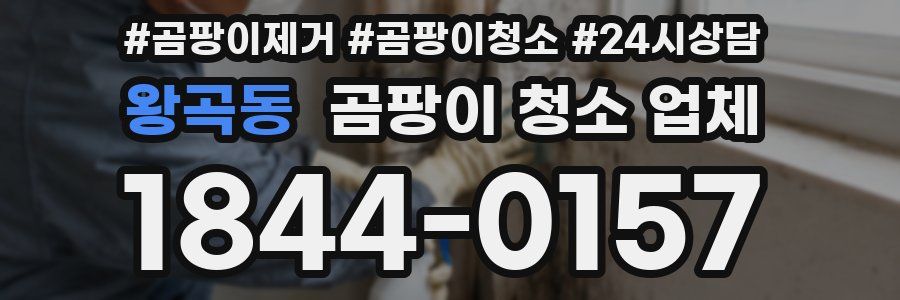 왕곡동 곰팡이 청소 업체