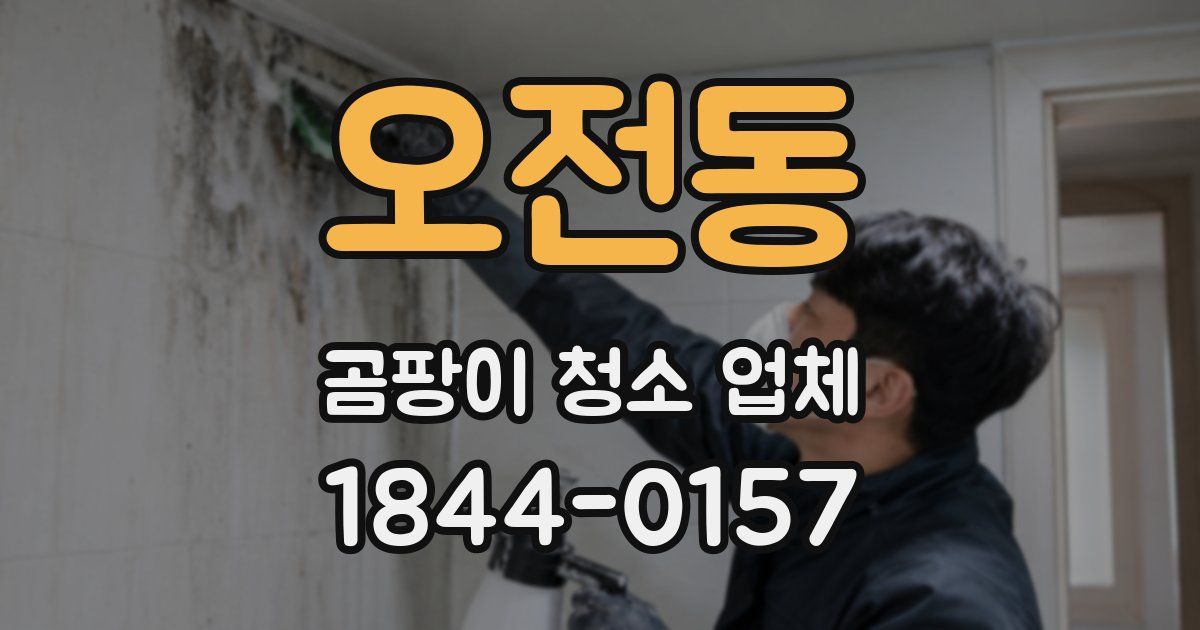 오전동 곰팡이 청소 업체