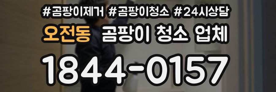 오전동 곰팡이 청소 업체