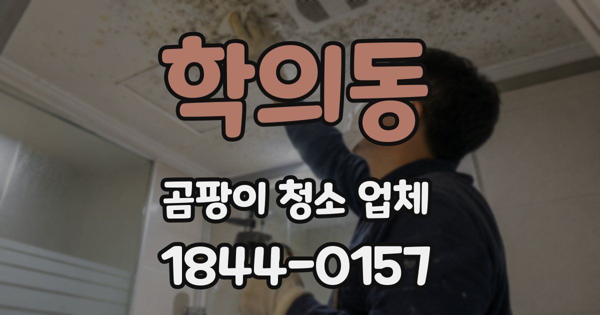 학의동 곰팡이 청소 업체