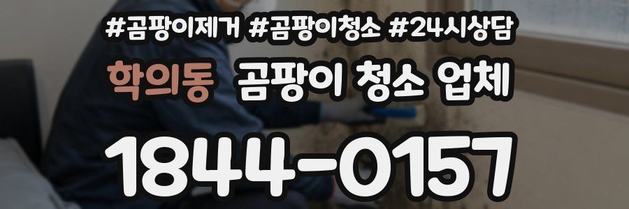 학의동 곰팡이 청소 업체