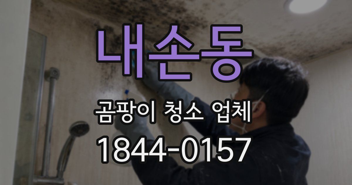 내손동 곰팡이 청소 업체